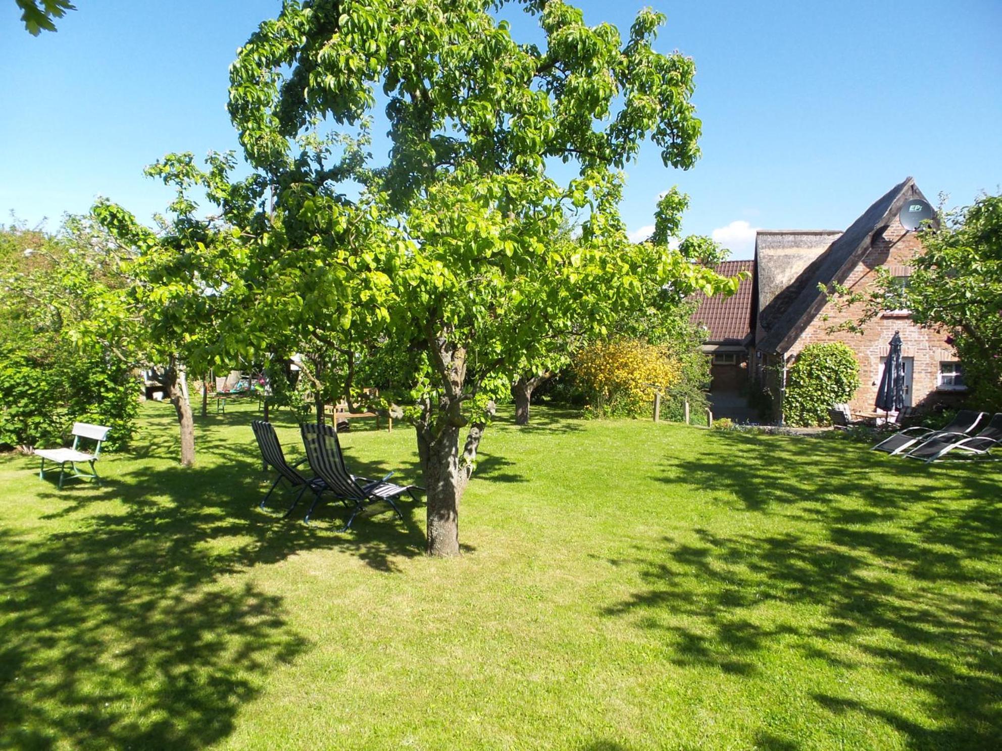 Villa Ferienhaus Fischerhaus Seedorf  Exterior foto